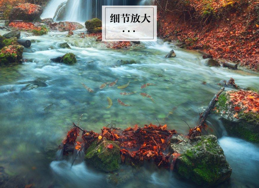 各种酱油分别有什么特点- 专业的问答平台